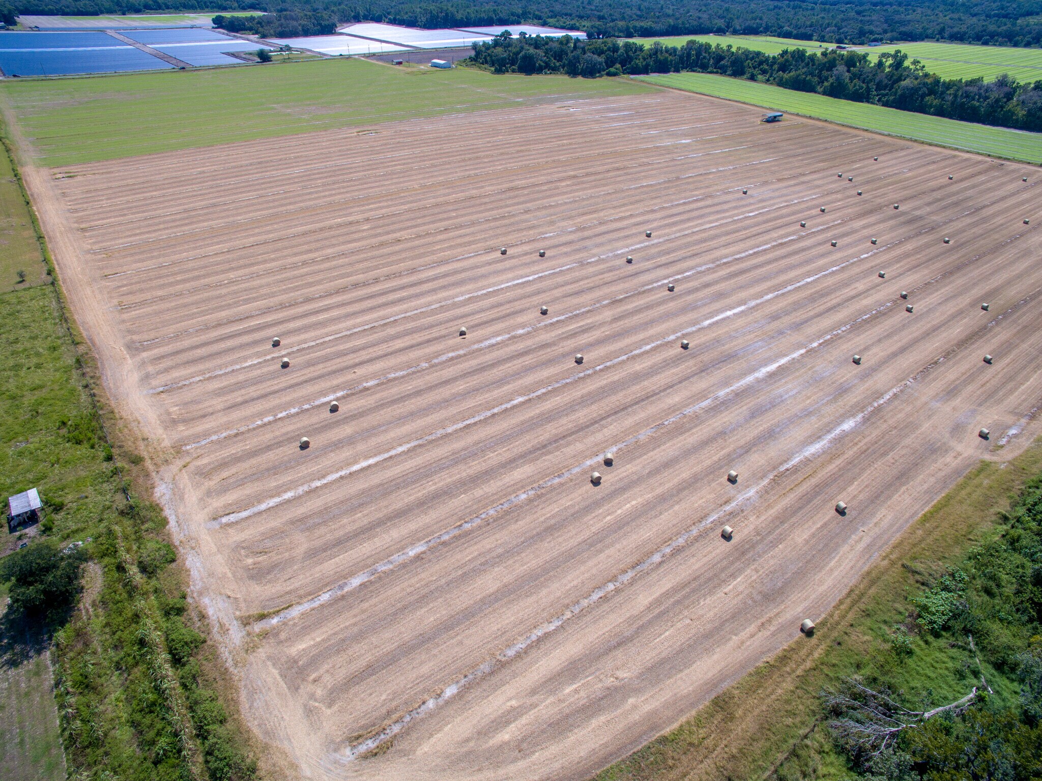 0 Grange Hall Loop, Wimauma, FL for sale Primary Photo- Image 1 of 1