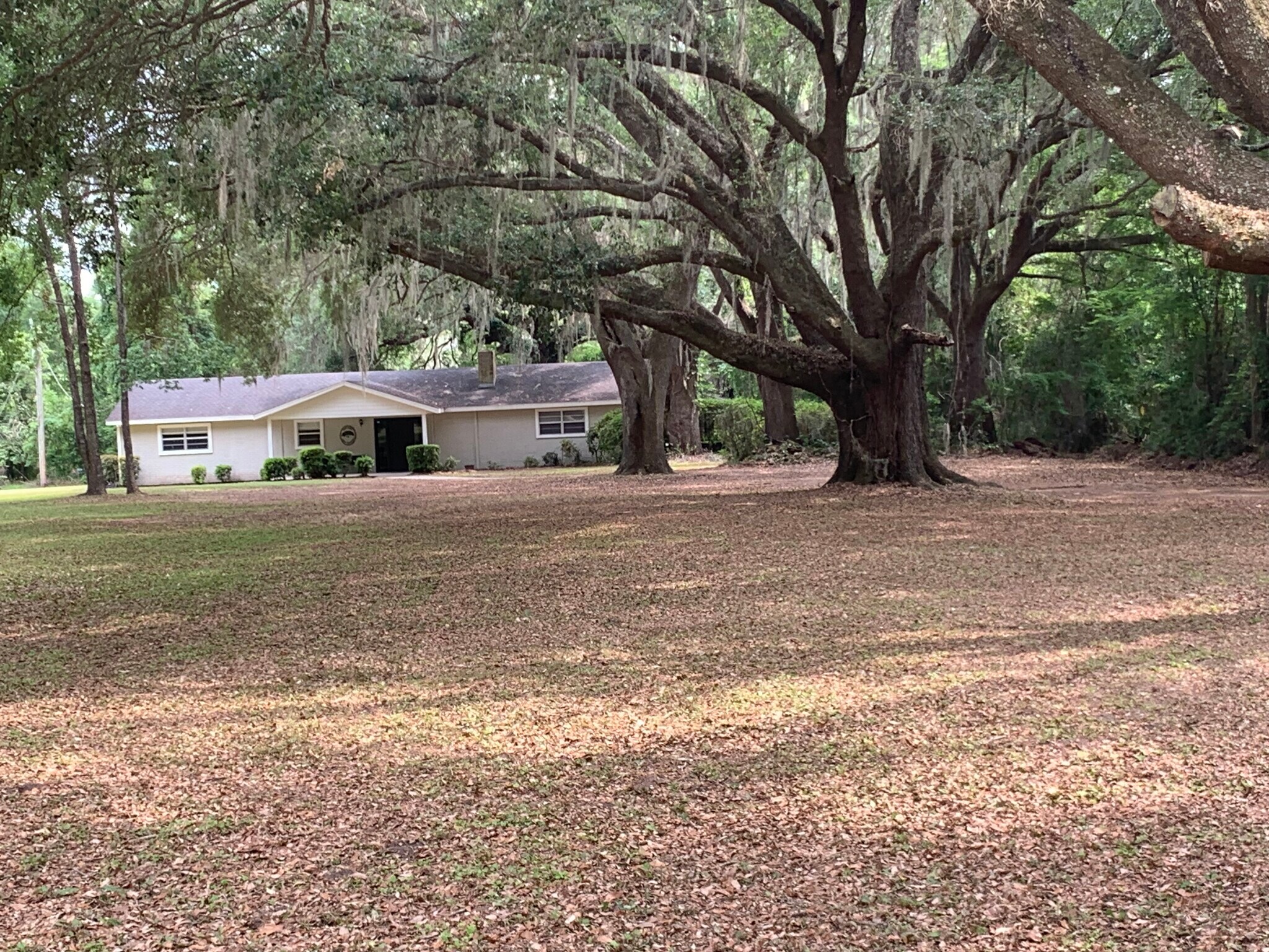 14036 NW Us-441, Alachua, FL for lease Building Photo- Image 1 of 11