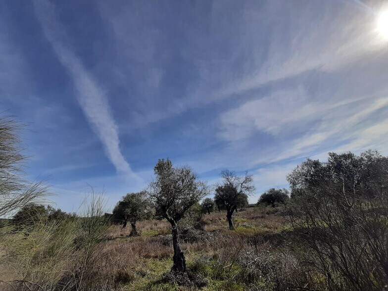 Land in Cáceres for sale - Building Photo - Image 2 of 2