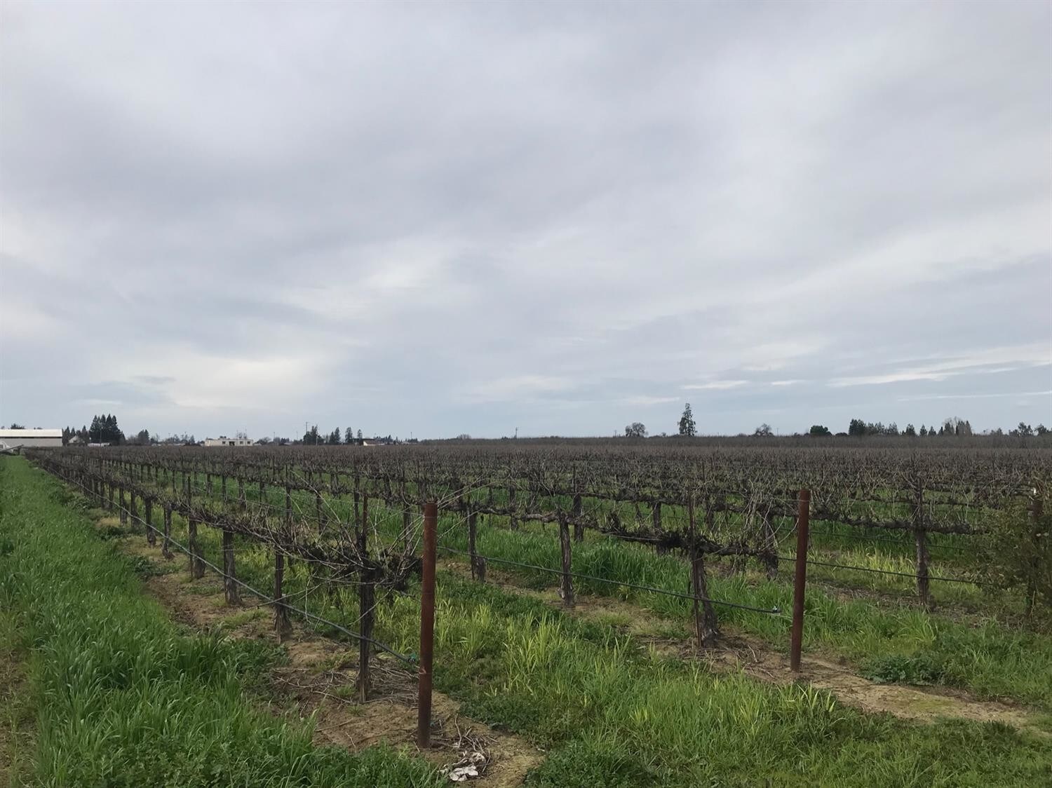 6223 E Woodbridge Rd, Acampo, CA for sale Other- Image 1 of 1