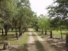 2780 Bulverde Rd, Bulverde TX - Convenience Store