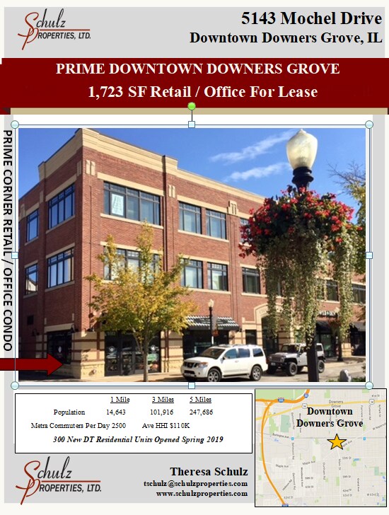 5151 Mochel Dr, Downers Grove, IL for sale Building Photo- Image 1 of 1