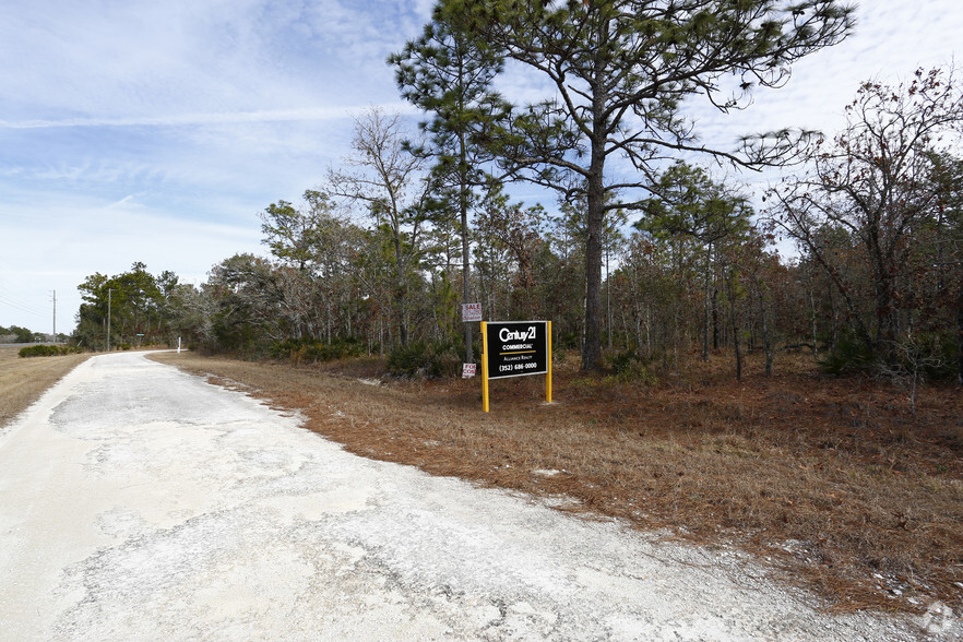 17496 Nicasio Jay Ave, Brooksville, FL for sale - Primary Photo - Image 1 of 1