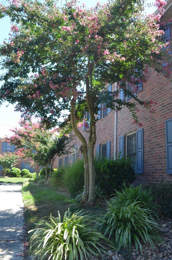 View Photo