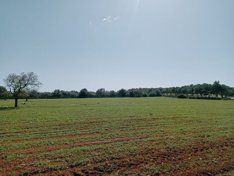 Land in Santanyí, Islas Baleares for sale - Aerial - Image 3 of 4