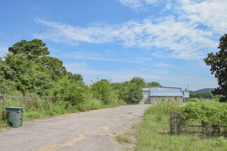More details for 256 Wilson Mann Rd, Owens Cross Roads, AL - Land for Sale