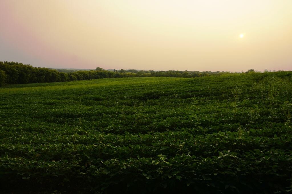 7550 Independence Ave, Lonsdale, MN for sale Other- Image 1 of 1