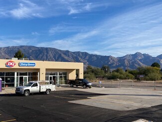 More details for 16054 N Oracle Rd, Catalina, AZ - Retail for Lease