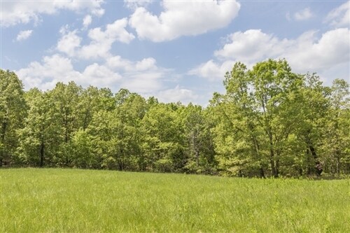 292 Burley Ridge Rd, Cook Station, MO for sale Primary Photo- Image 1 of 1