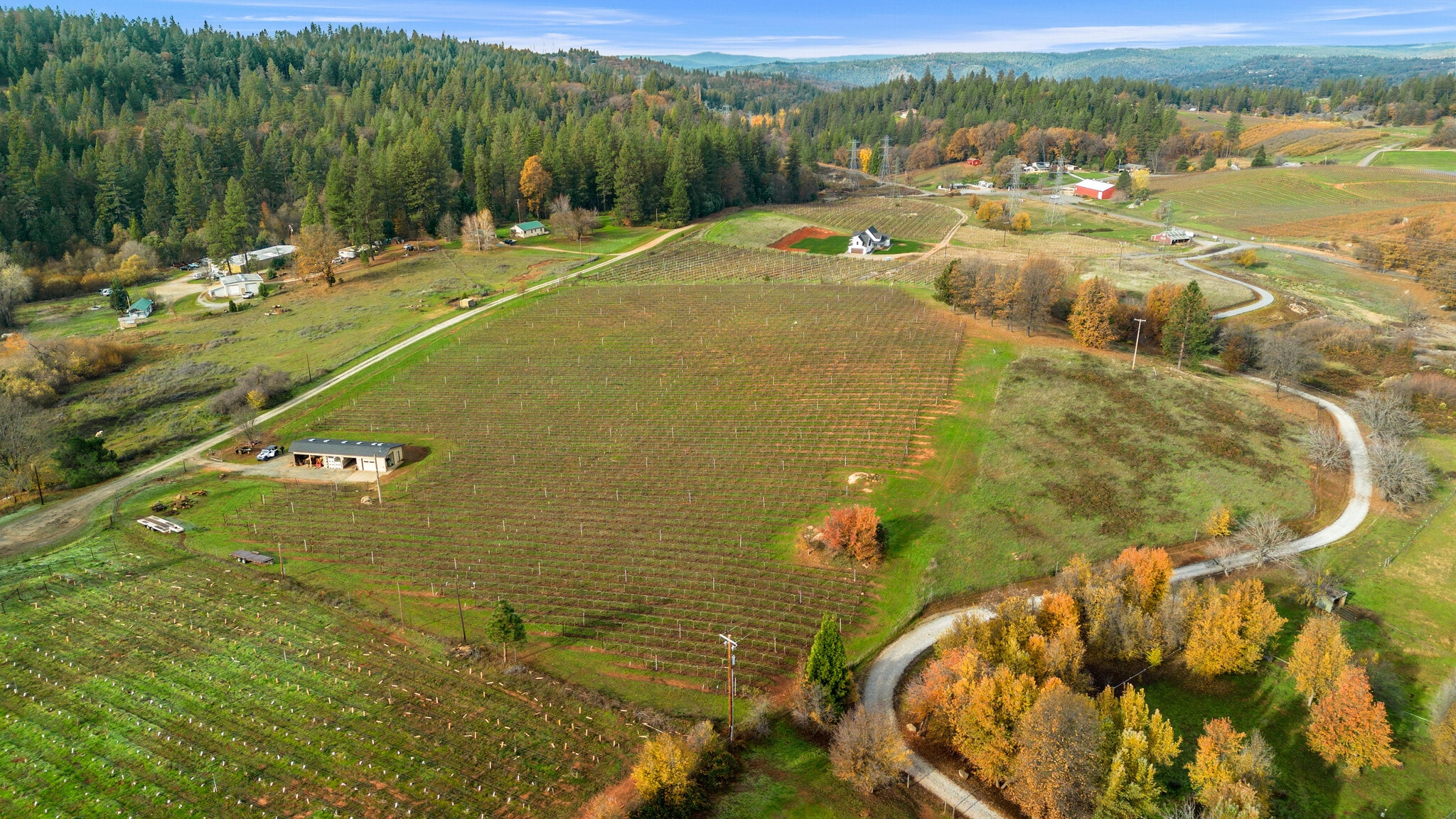 2635 Cleese Rd, Camino, CA for sale Primary Photo- Image 1 of 22