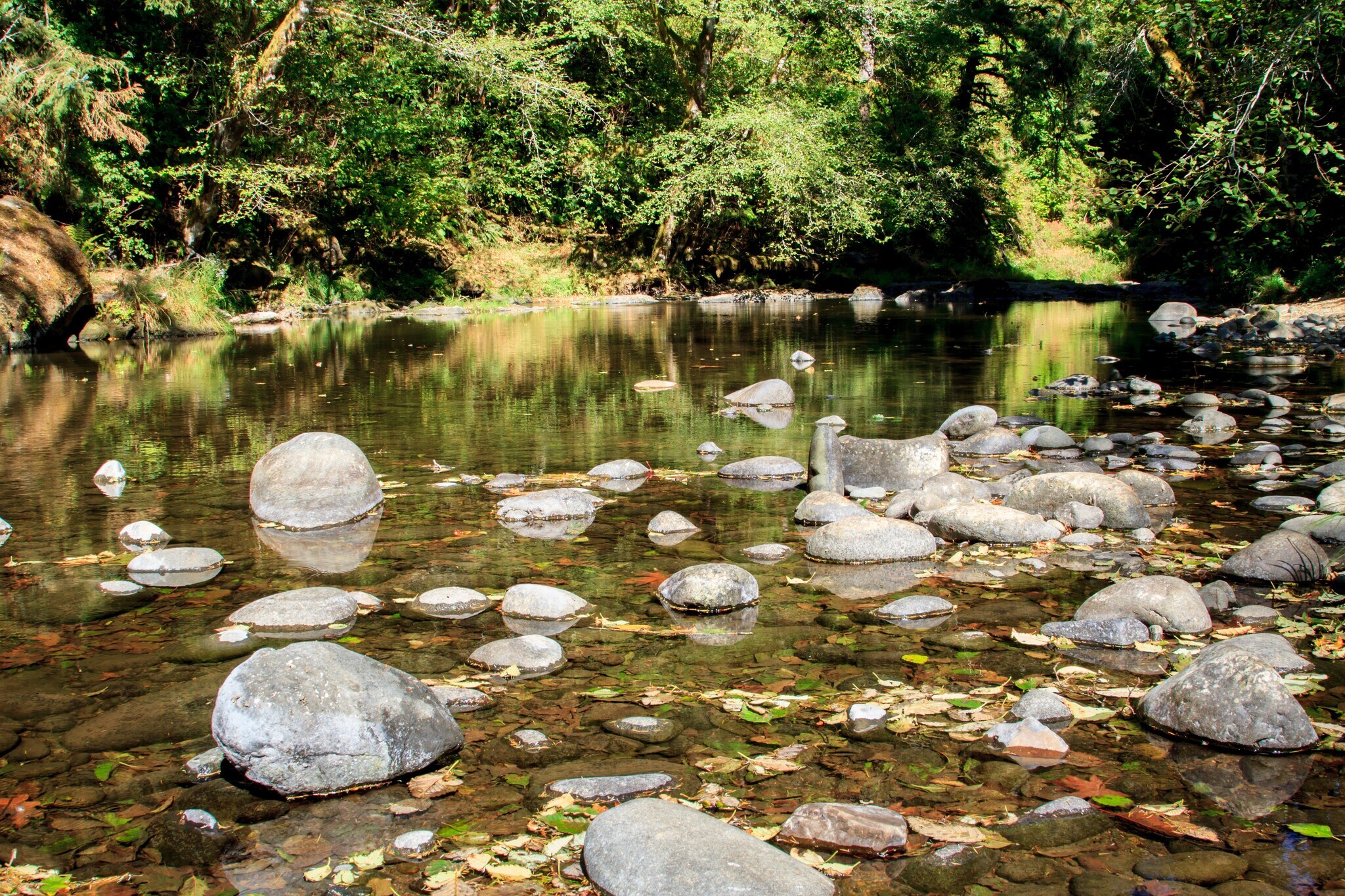 6029 Salmon River Hwy, Otis, OR 97368 Salmon River RV Park