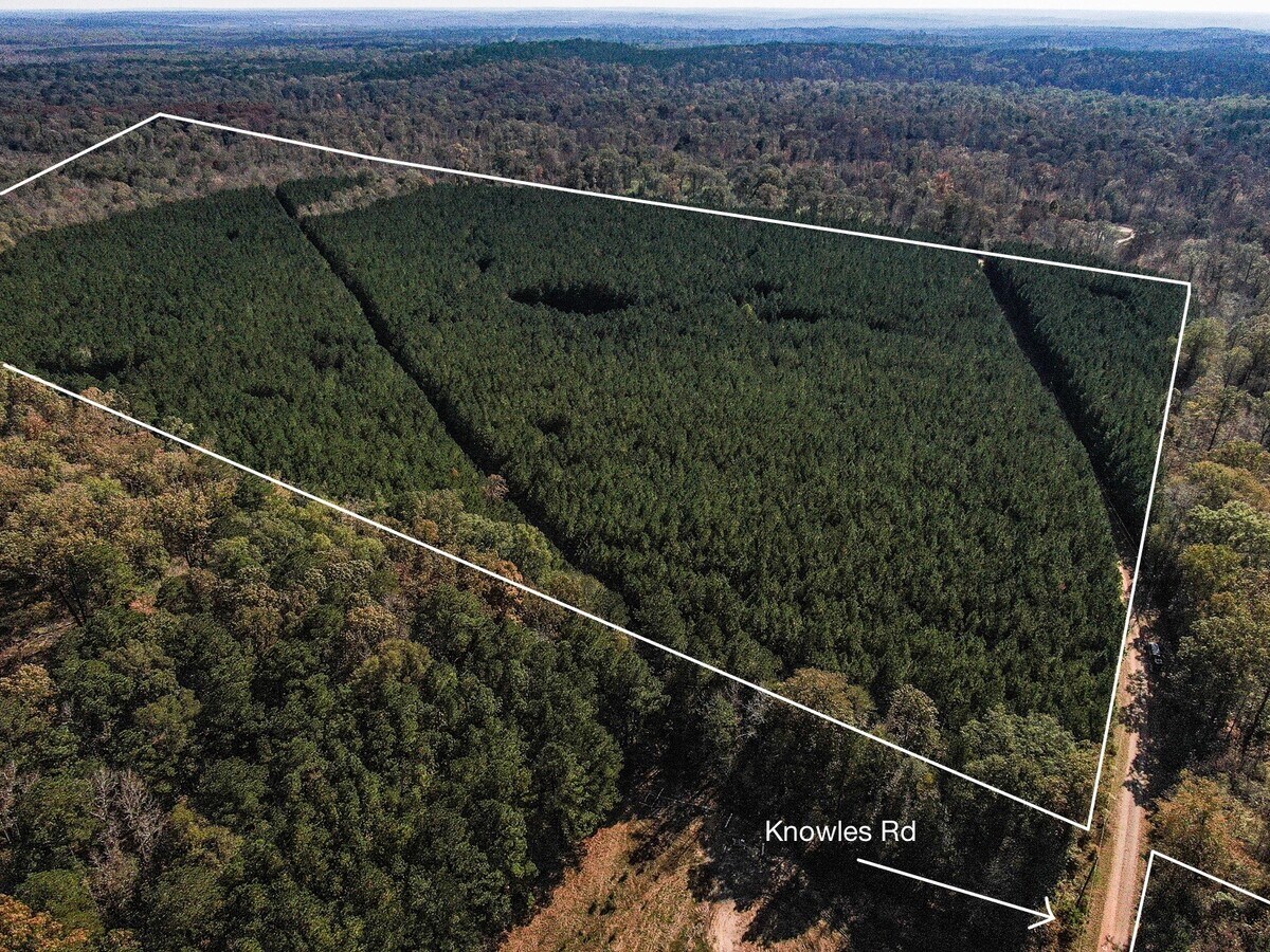Lincoln Parish Land Package Dubach, LA for Sale