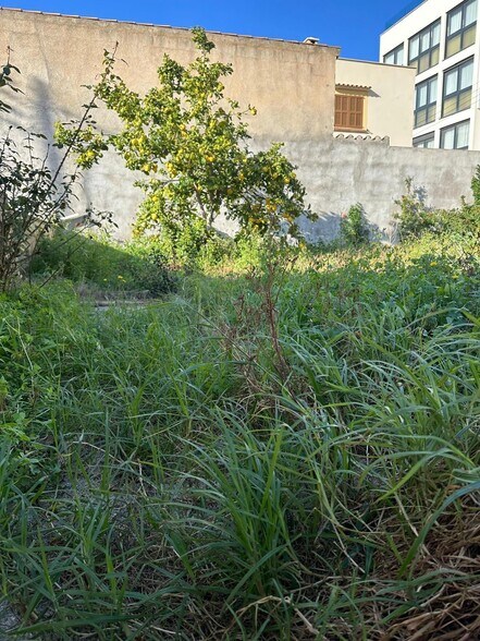 Land in Capdepera, Islas Baleares for sale - Building Photo - Image 2 of 5