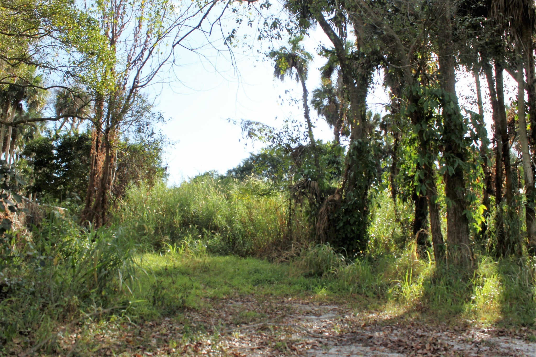 3800 SW 21st St, Okeechobee, FL for sale Primary Photo- Image 1 of 1