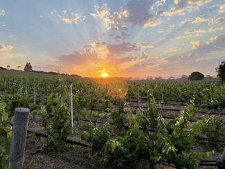 More details for Biodynamic® Certified ±614 Acres – Land for Sale, Lompoc, CA