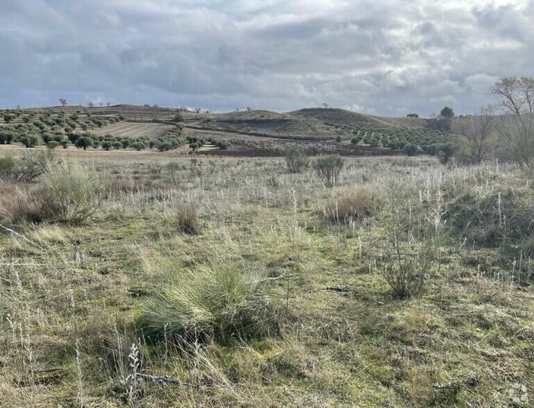 Land in Villalbilla, Madrid for sale - Primary Photo - Image 1 of 1