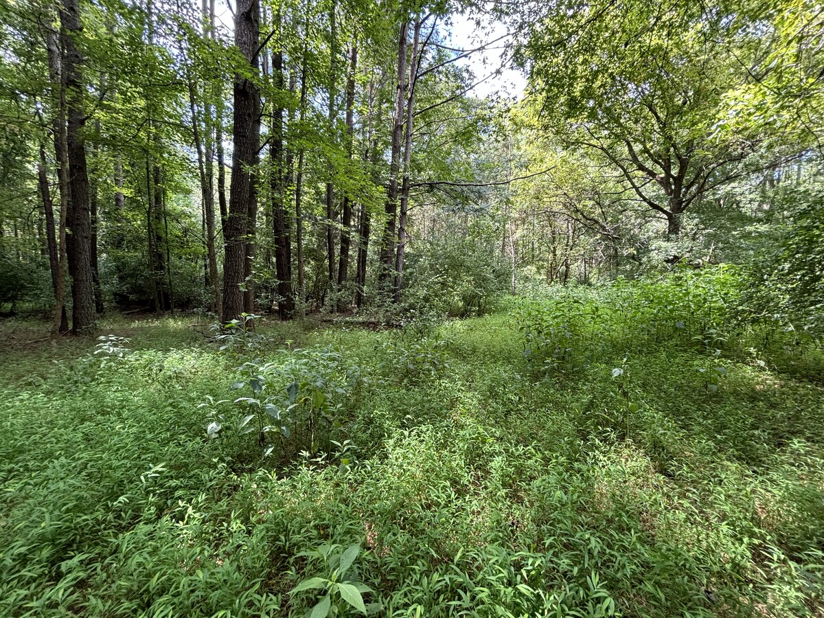 View Photo