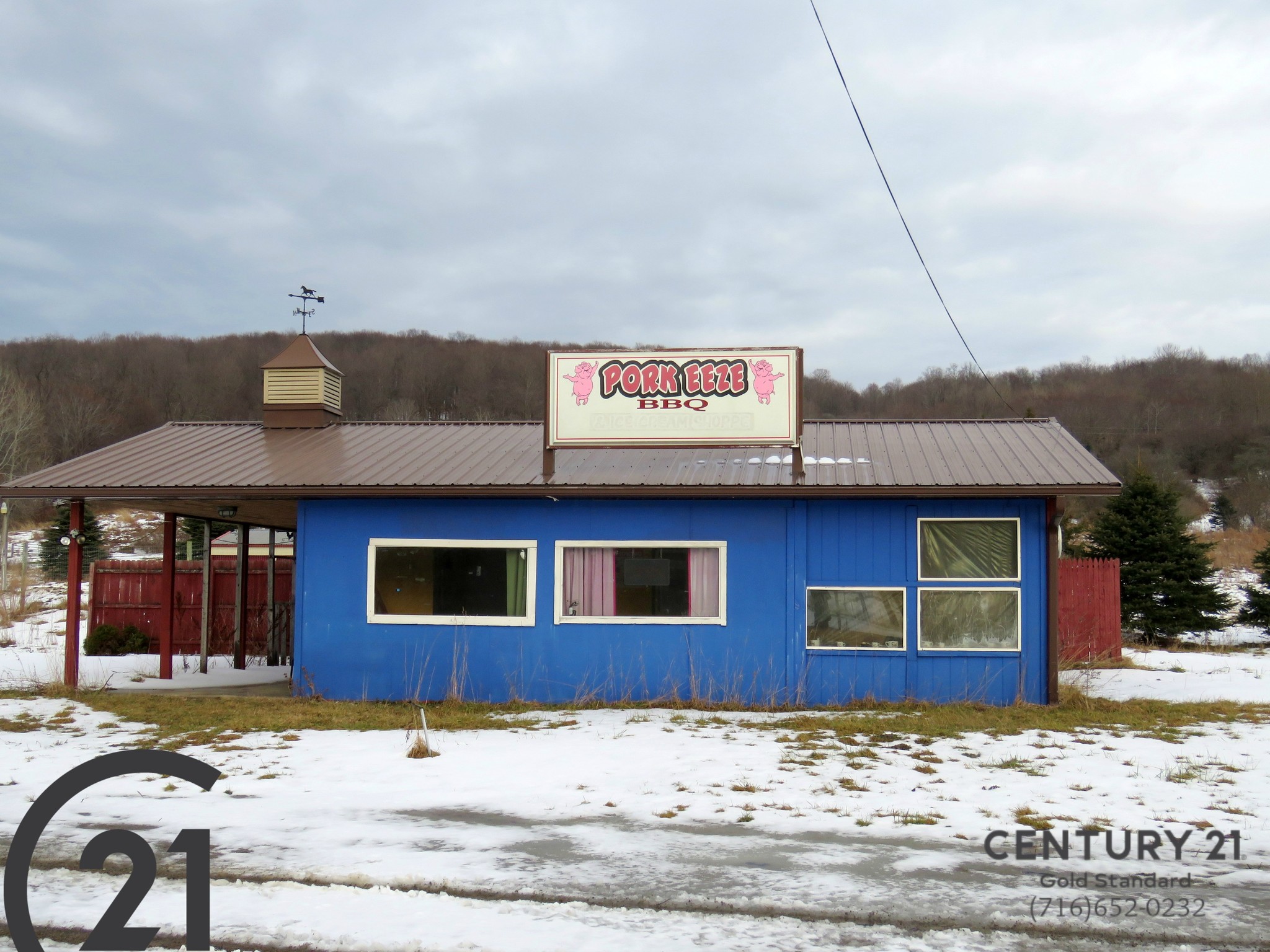 8216 State Route 16, Franklinville, NY for sale Building Photo- Image 1 of 1