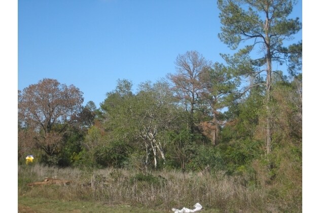 State Highway 249, Pinehurst, TX for lease - Building Photo - Image 3 of 8