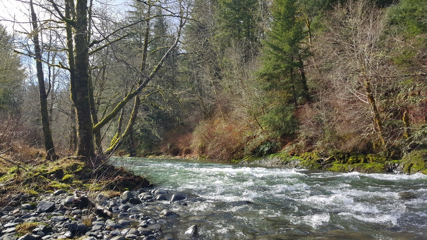 6029 Salmon River Hwy, Otis, OR 97368 Salmon River RV Park