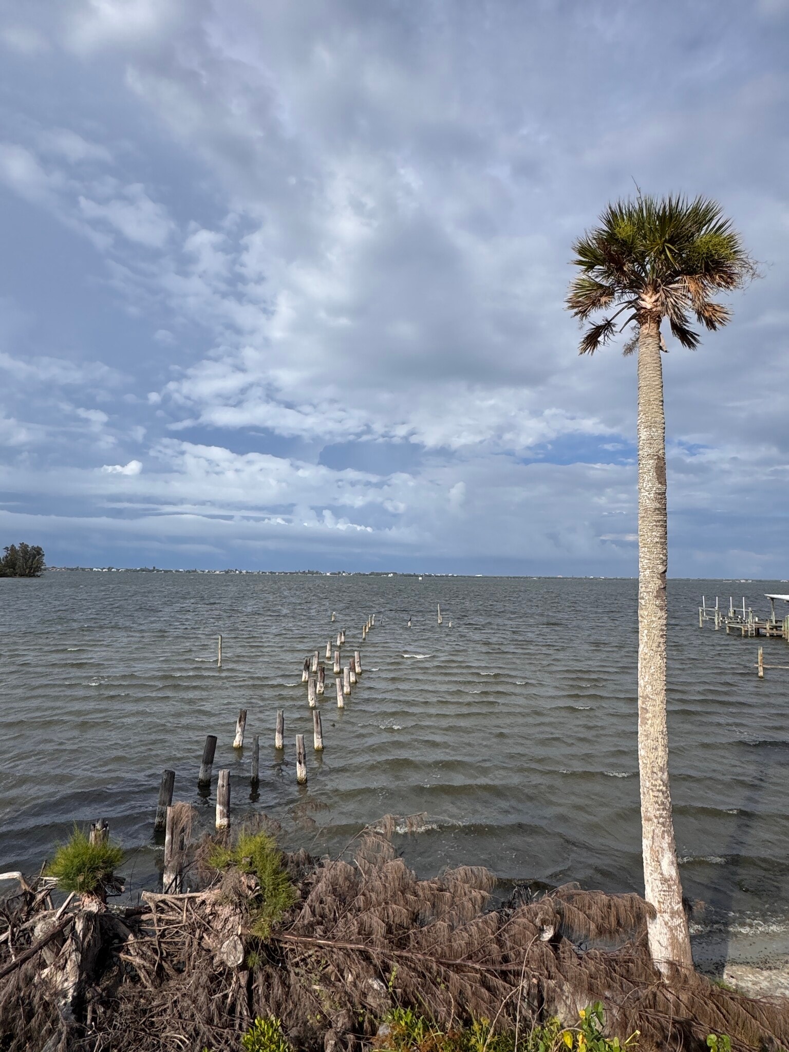 7255 U.S. Rte 1, Grant, FL for sale Primary Photo- Image 1 of 11