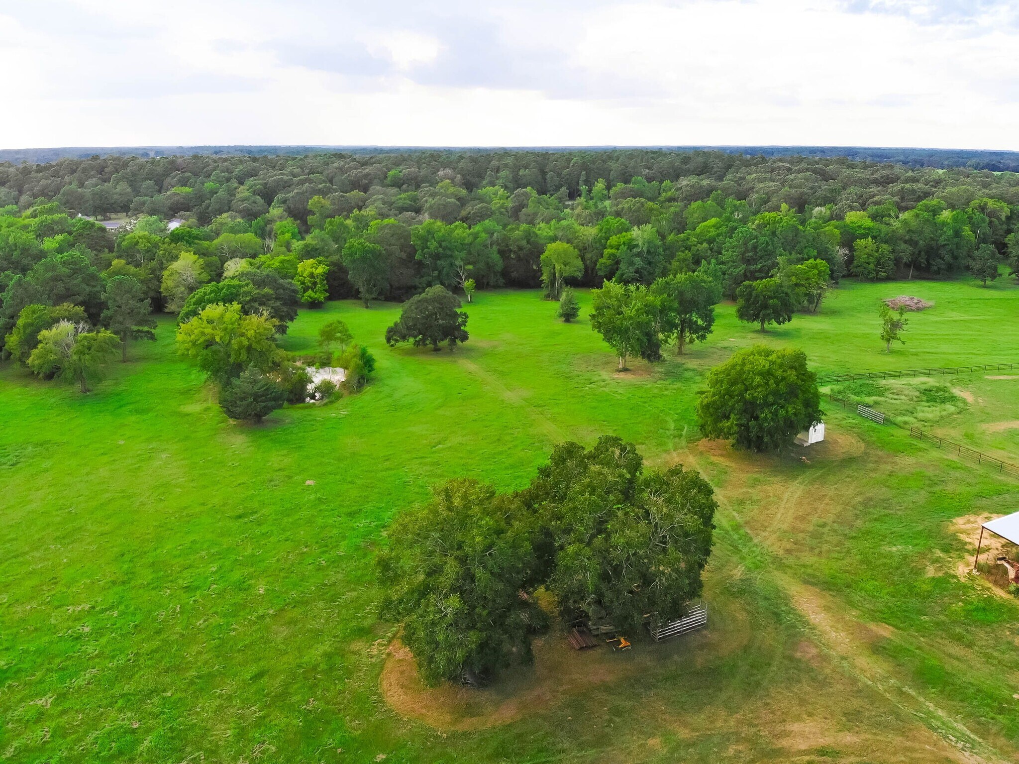 9192 State Highway 75 S, New Waverly, TX 77358 Land for Sale