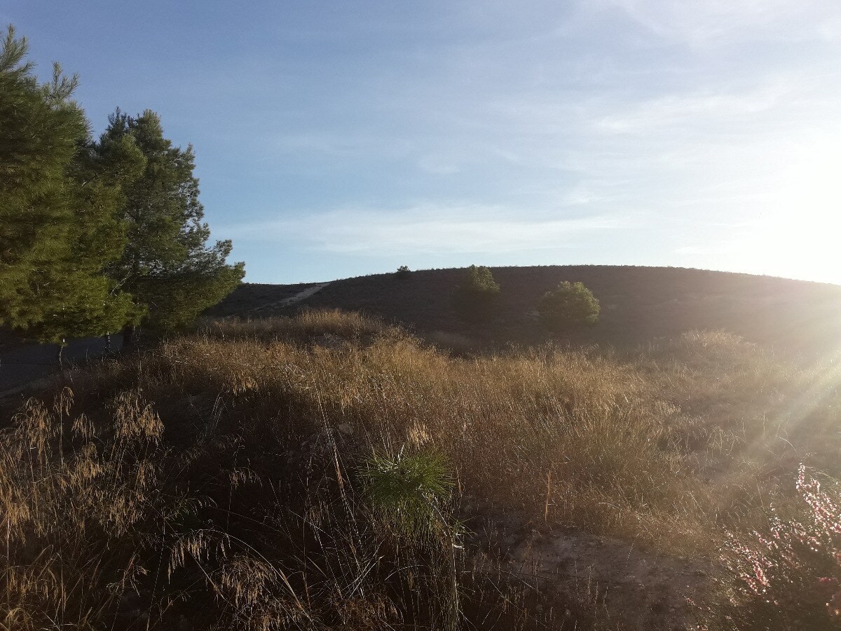 Land in Aspe for sale Building Photo- Image 1 of 5