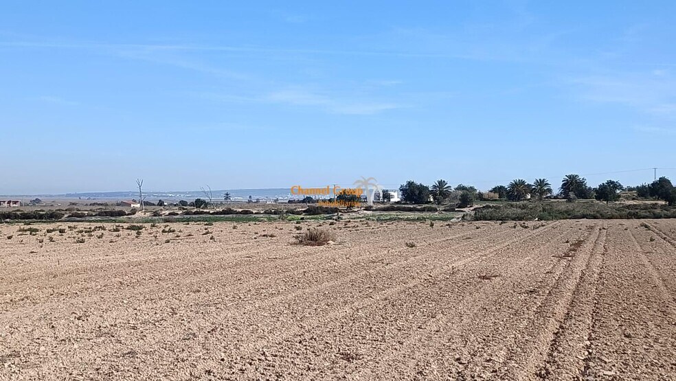 Land in Elche, Alicante for sale - Building Photo - Image 1 of 2