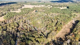 More details for 890 Old Hundred Rd, Pelzer, SC - Land for Sale