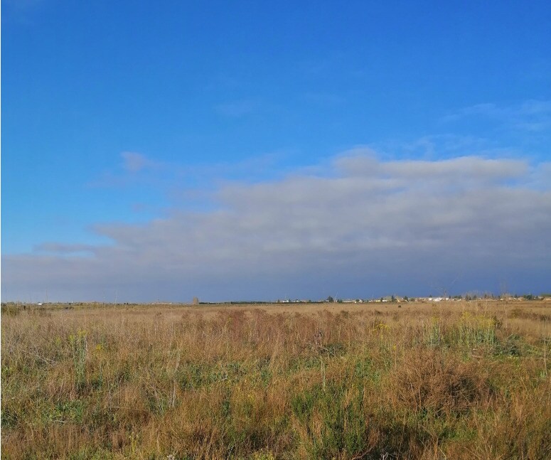 Land in Mansilla de las Mulas for sale Building Photo- Image 1 of 19
