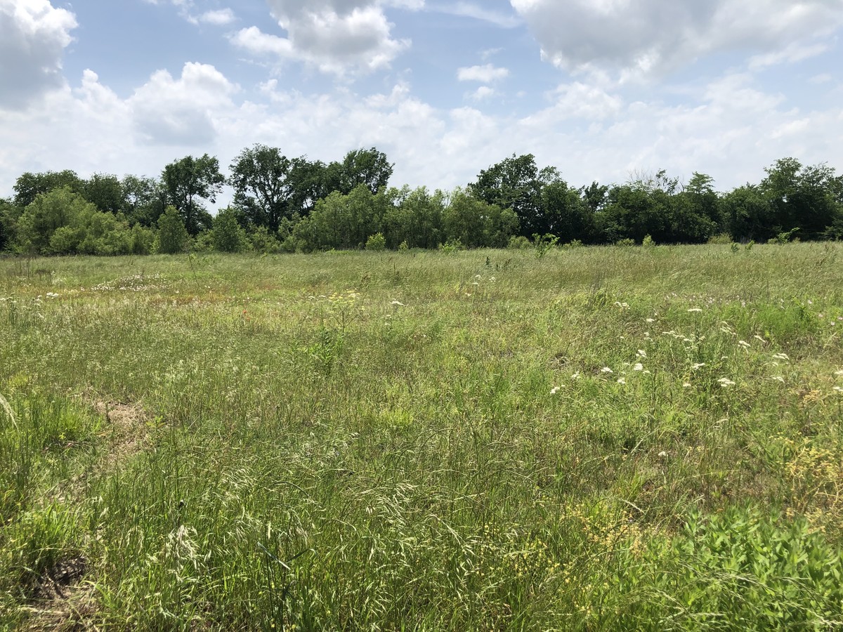 Tbd Highway 377, Tioga, TX 76271 | LoopNet