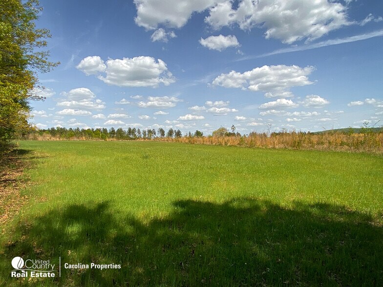 1084 Stoney Pointe, Lexington, NC 27292 Land for Sale