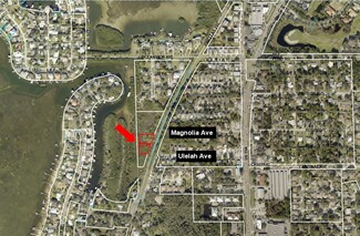 More details for 00 Ulelah Ave, Palm Harbor, FL - Land for Sale