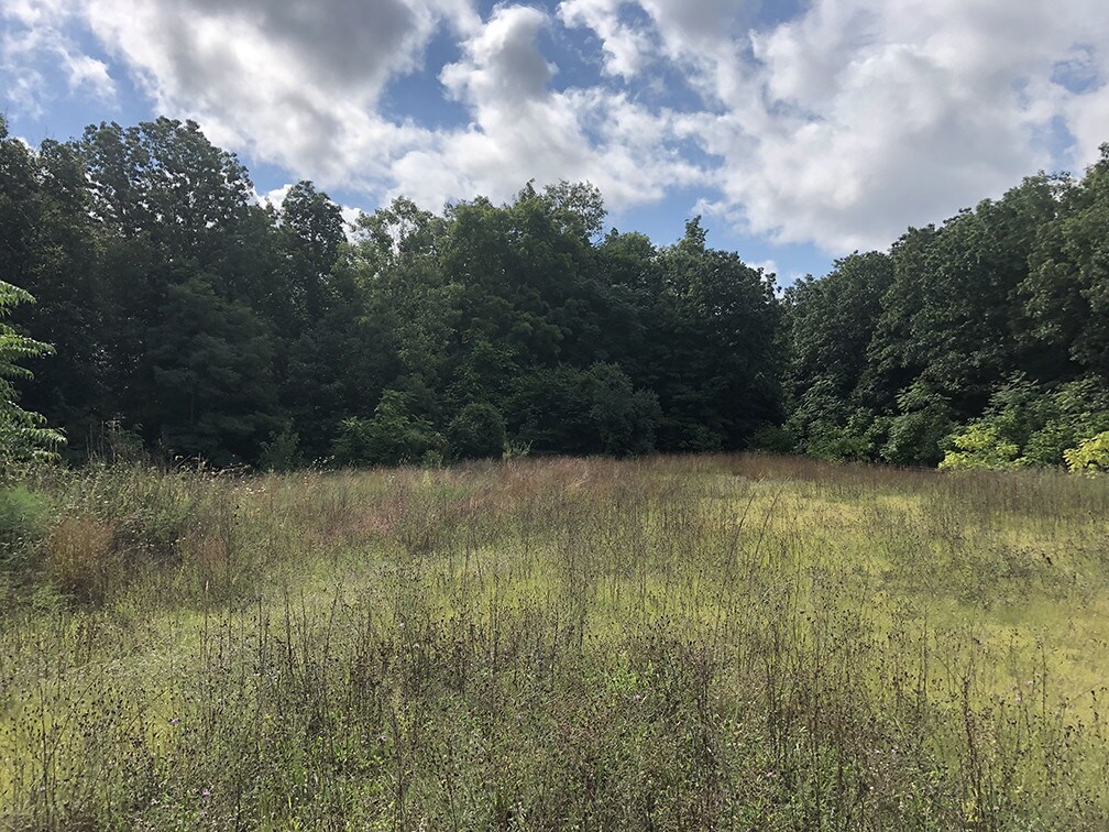 63 Main St, South Grafton, MA for sale Building Photo- Image 1 of 1