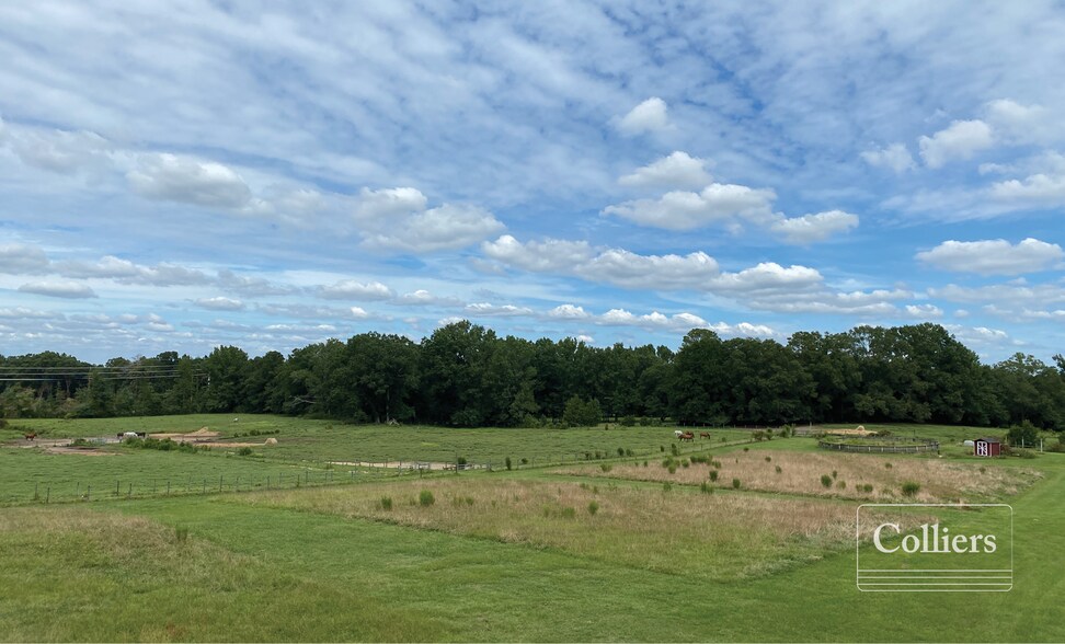 193 Irving Road, Ridge Spring, SC 29129 ±28 Acres Subdividable Land