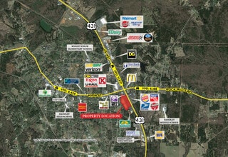 3073-3187 Highway 431, Roanoke, AL - AERIAL  map view - Image1