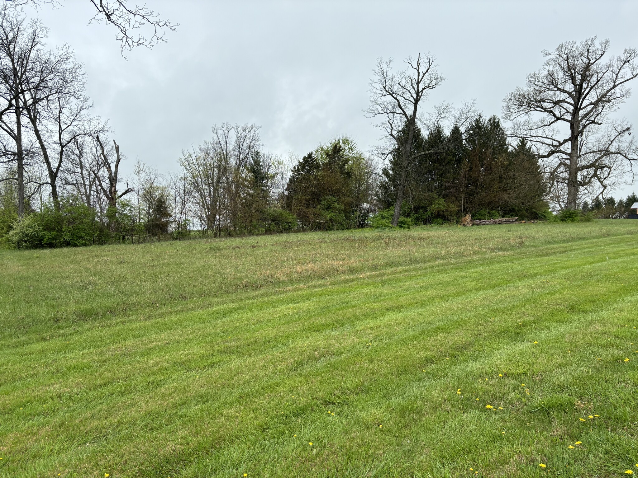 2427 S KY 53, La Grange, KY for lease Primary Photo- Image 1 of 2