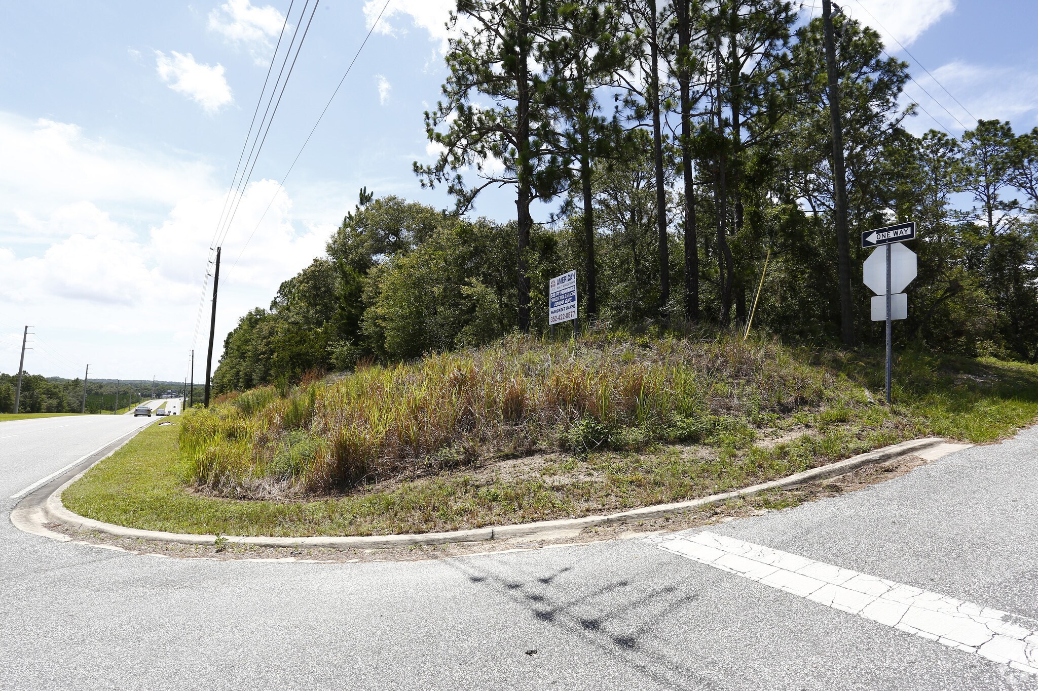 1819 E Norvell Bryant Hwy, Hernando, FL for sale Primary Photo- Image 1 of 1
