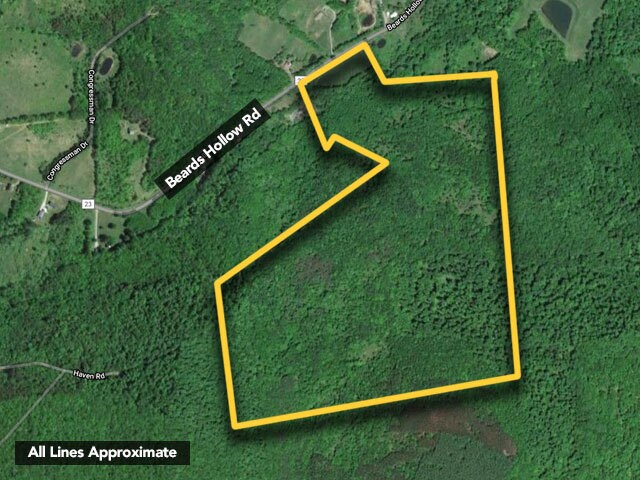 256 Beards Hollow Rd, Richmondville, NY for sale Aerial- Image 1 of 1