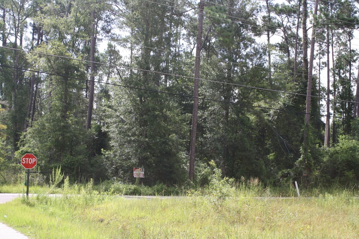 Carnation St, Slidell, LA 70460 INDUSTRIAL.5 ACRES LOTS OWNER
