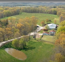 67+/- Acre Winery and Microbrewery - Vineyard