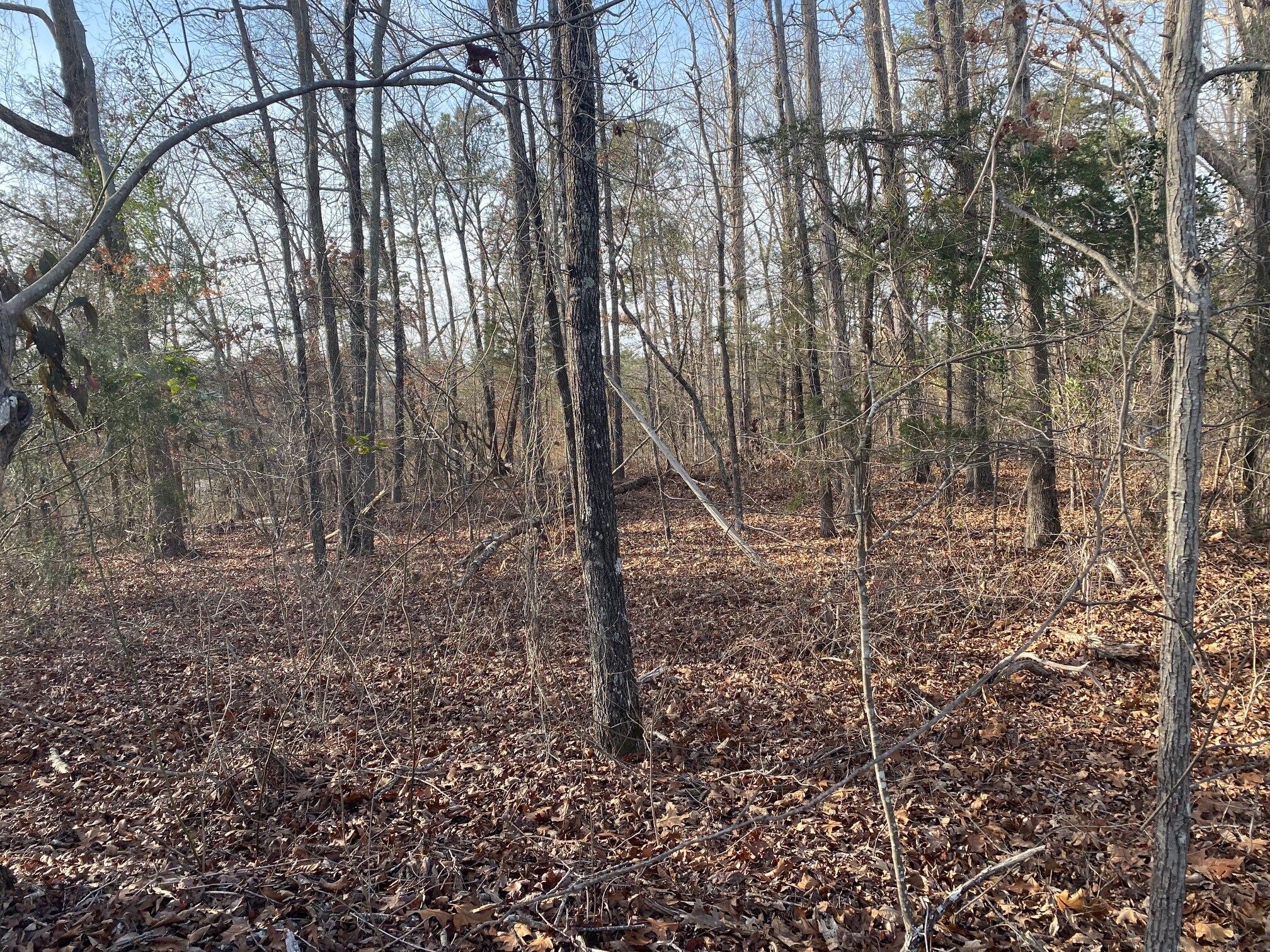 Miller Bottom Rd, Conyers, GA 30012 Land for Sale