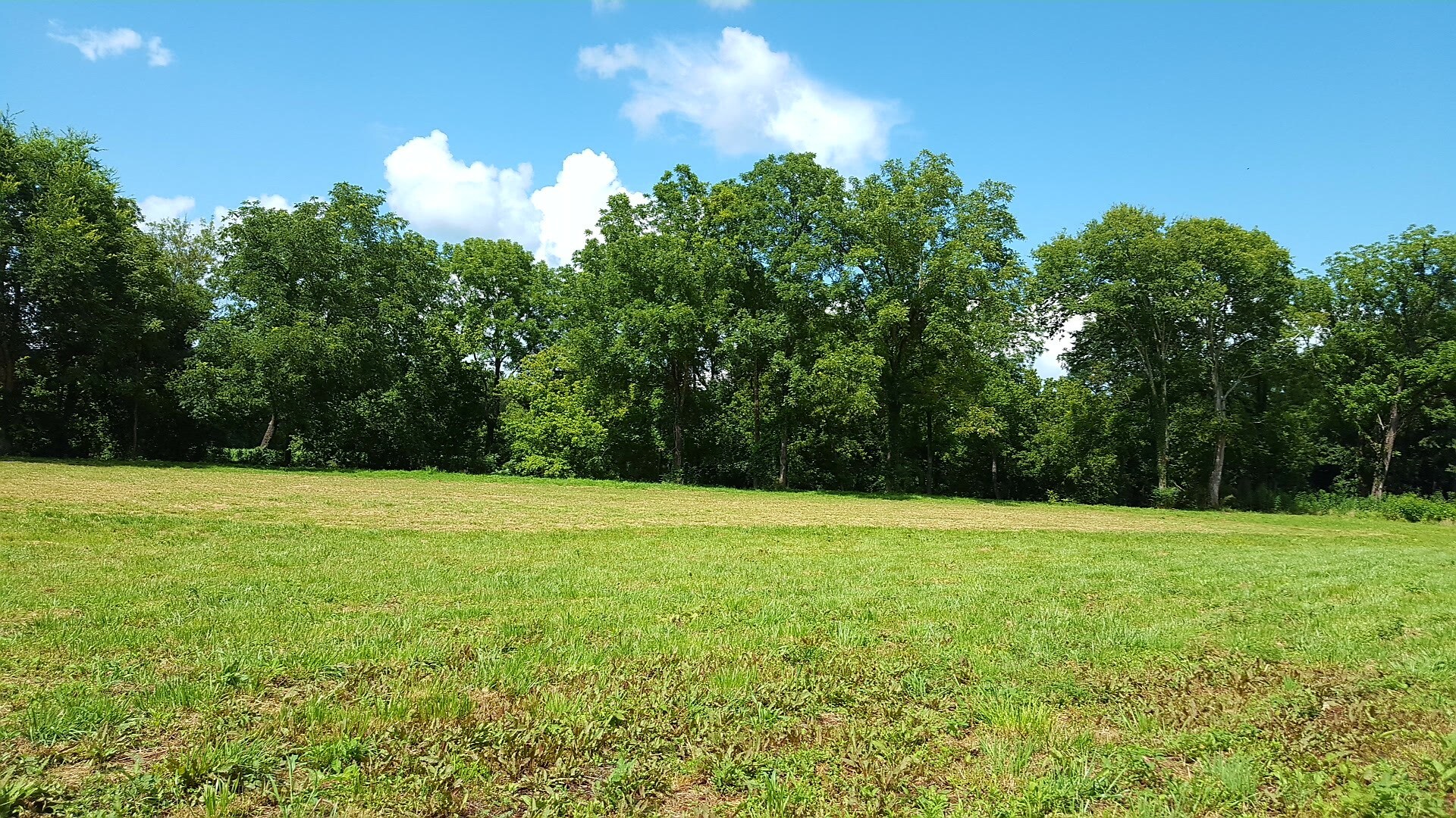 Hwy 136, Talking Rock, GA for sale Building Photo- Image 1 of 1
