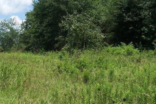 550 Antioch Rd, Lula, GA for sale - Other - Image 1 of 1