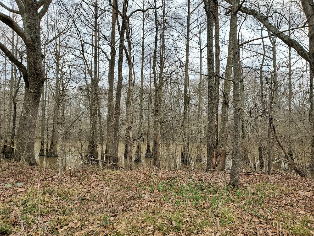 2033 Crooked Creek, Humphrey, AR 72073