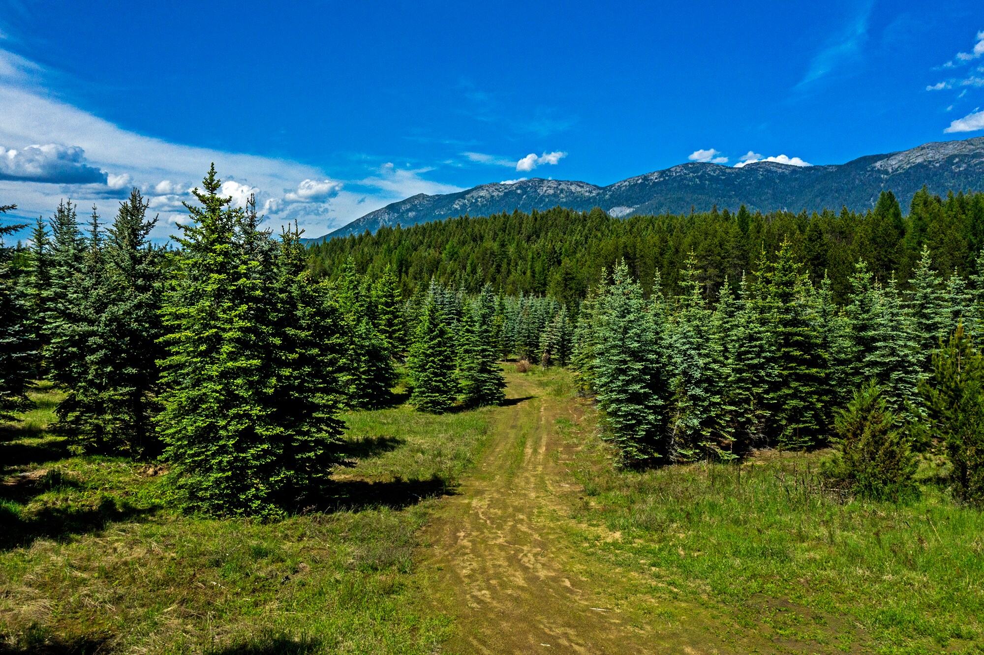 NNA Firehouse rd, Moyie Springs, ID 83845 NNA Firehouse Rd