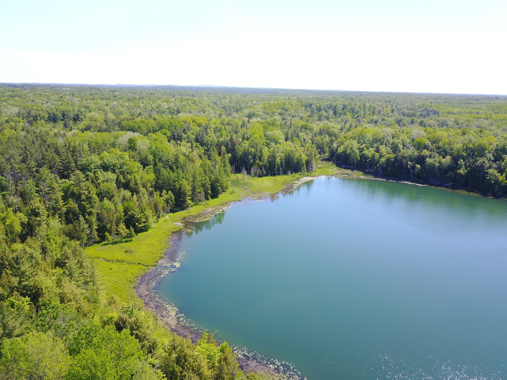 Burnt Mill, Interlochen, MI for sale Building Photo- Image 1 of 1