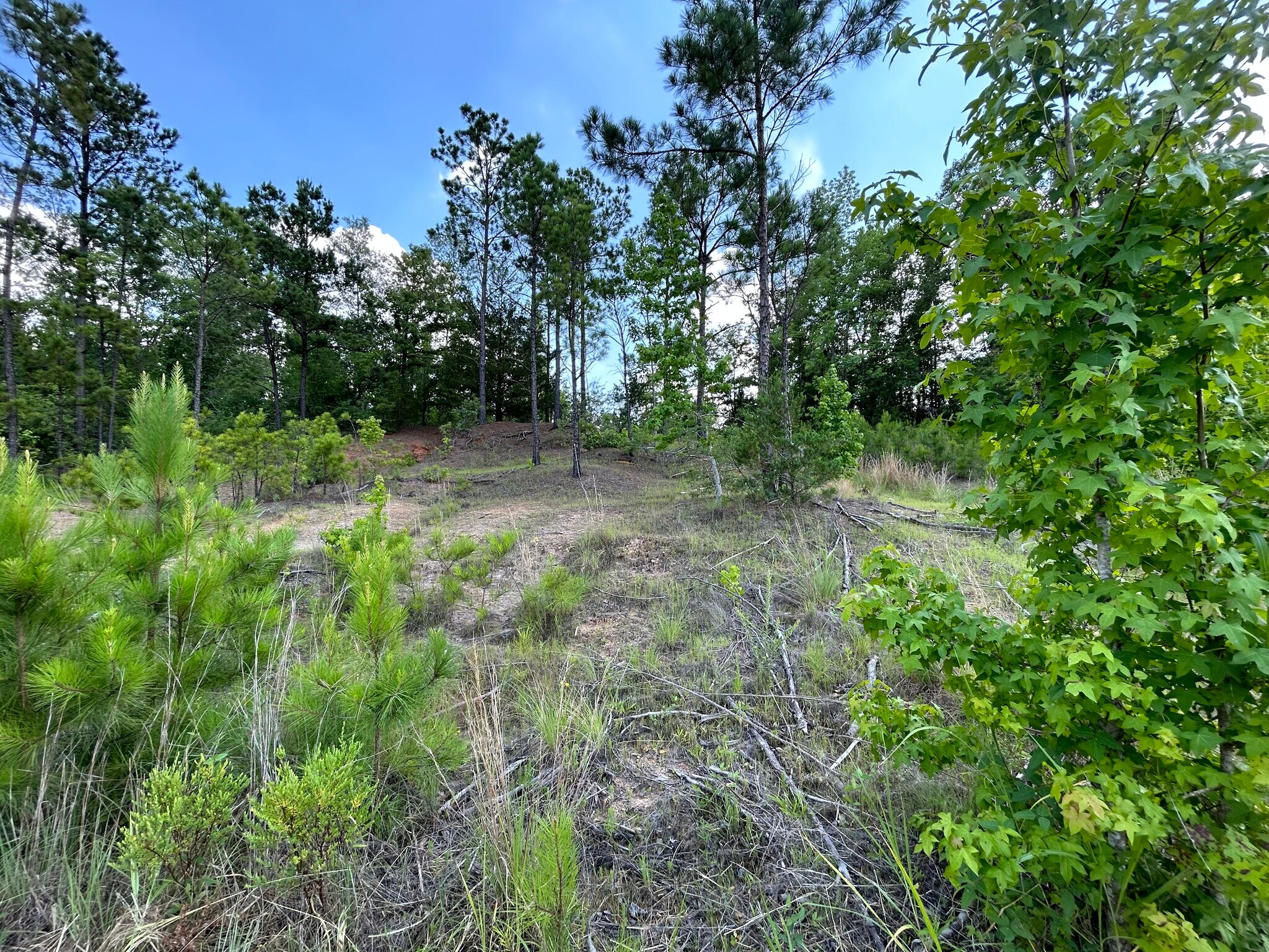 5210 US 79, Palestine, TX 75801 - Land - US Hwy 79, Palestine, TX | LoopNet