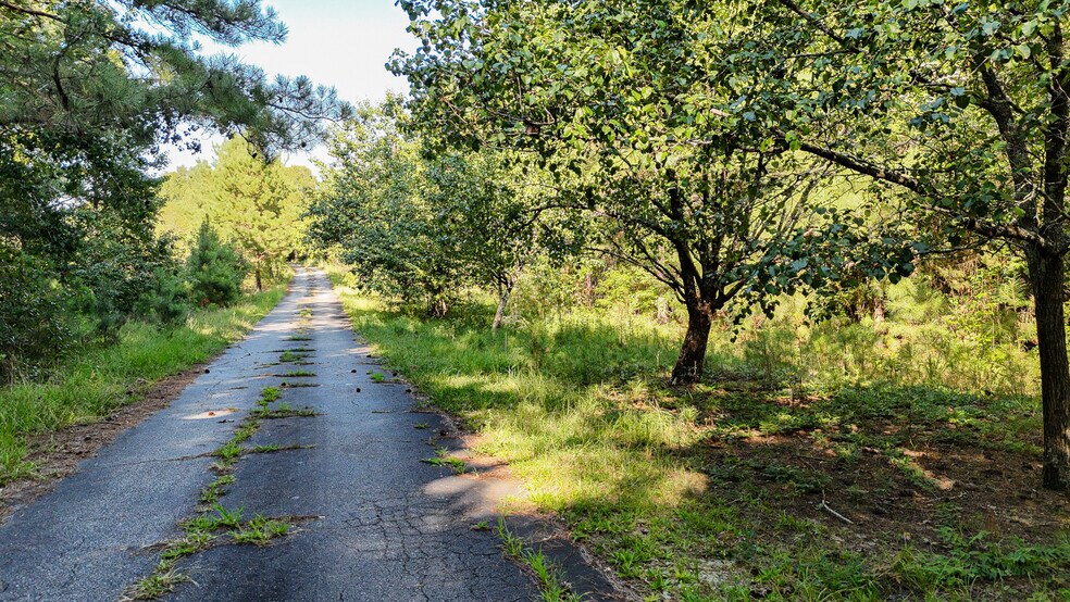 38 Crowder Rd, Kinards, SC for sale - Building Photo - Image 3 of 12