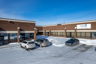 More details for 375-455 Rue Deslauriers, Saint-Laurent, QC - Industrial for Lease